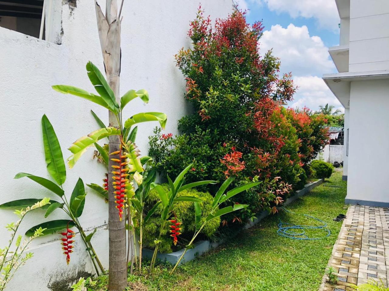 Vidushi Home Minuwangoda Bagian luar foto