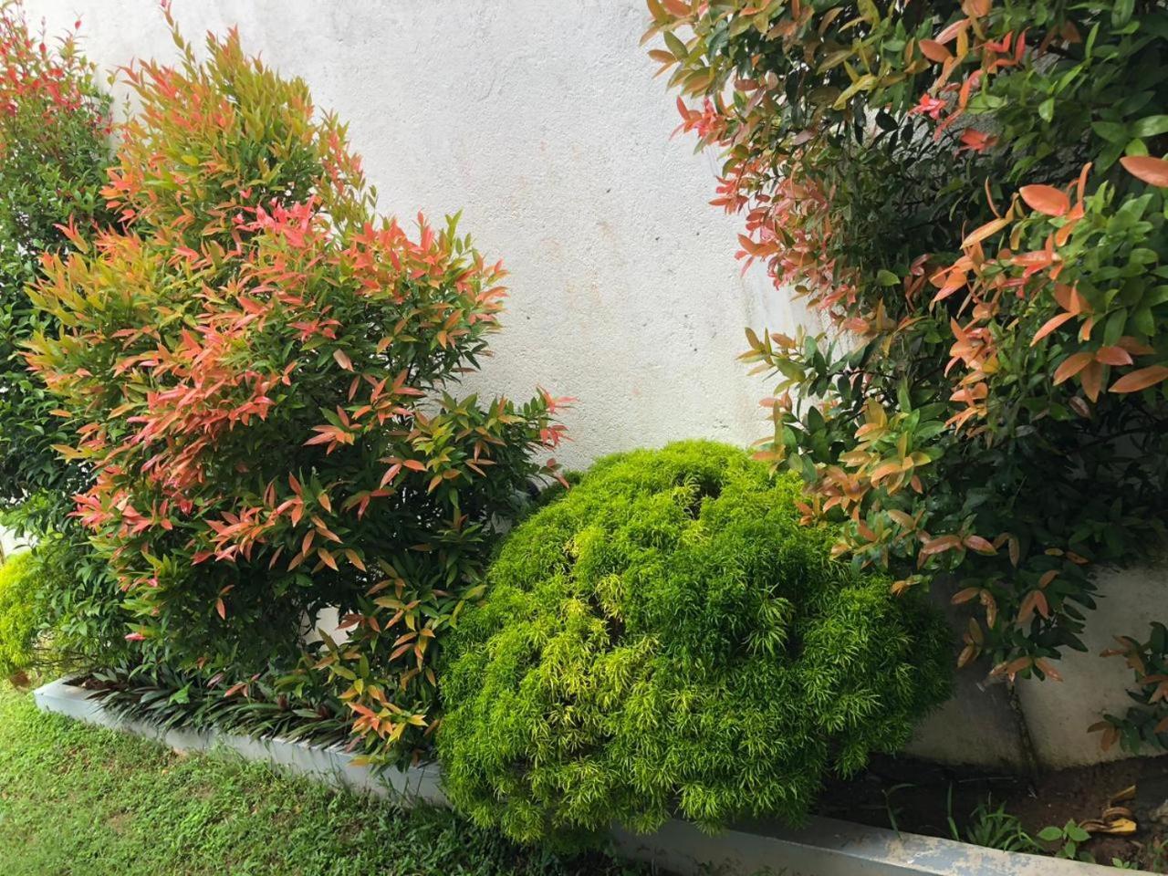 Vidushi Home Minuwangoda Bagian luar foto