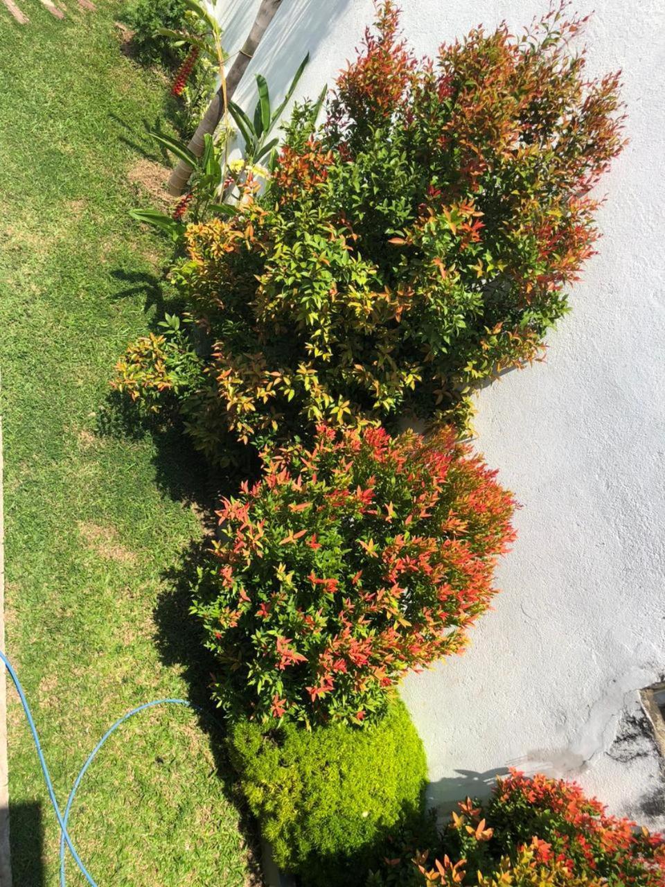 Vidushi Home Minuwangoda Bagian luar foto