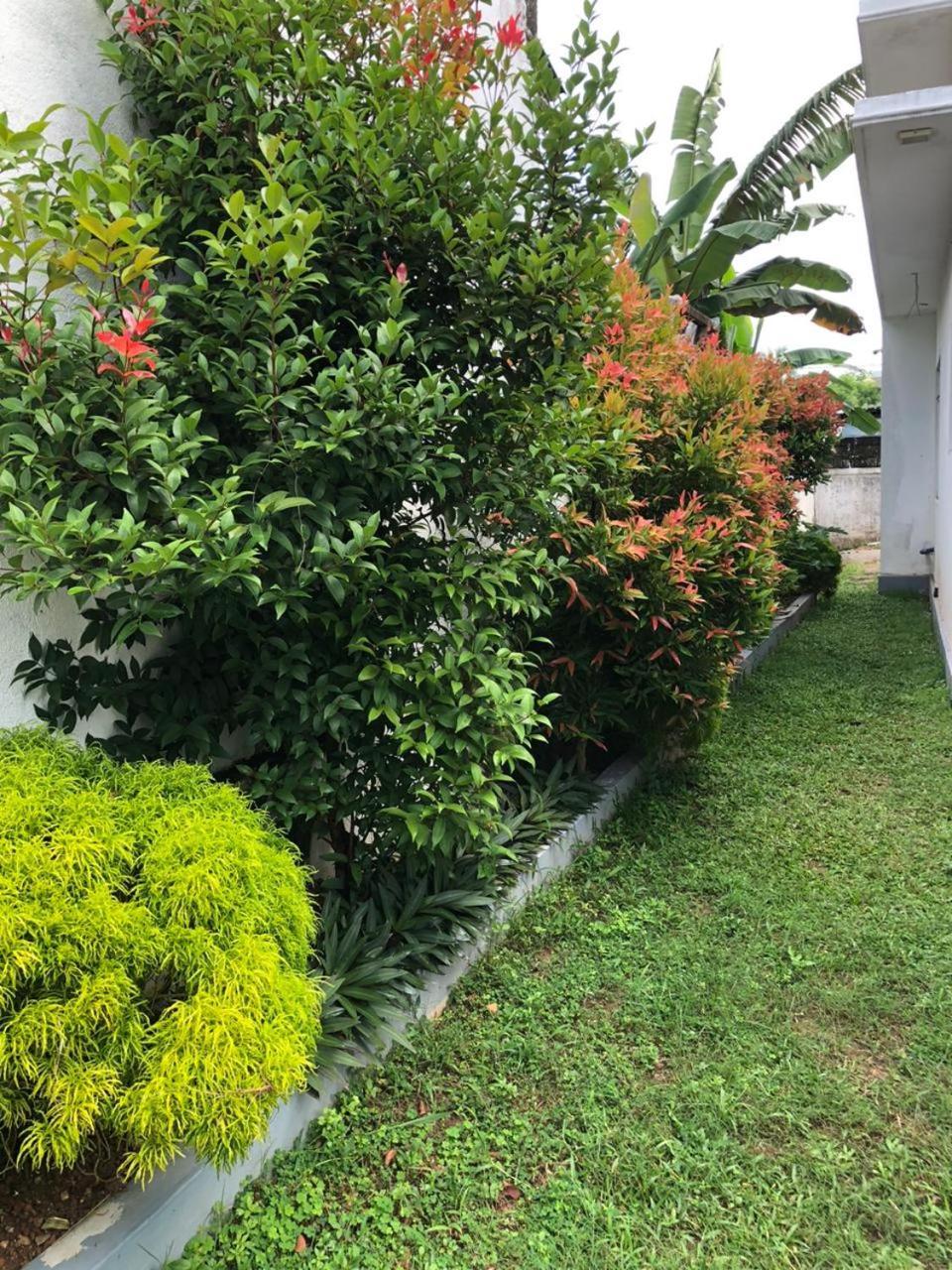 Vidushi Home Minuwangoda Bagian luar foto
